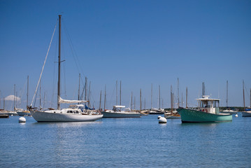 Boats In Marina