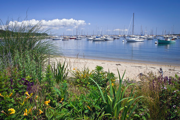 Seaport View Mathas Vinyard