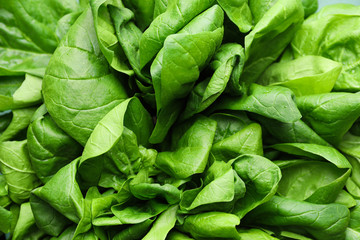 Fototapeta na wymiar Fresh green spinach as background