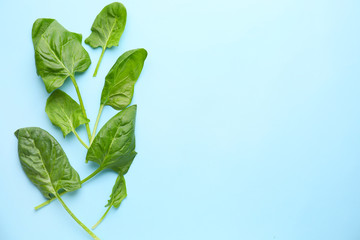 Fresh spinach on color background