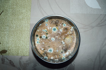 Eine lange Zeit aufbewahrtes und vergammeltes Essen 