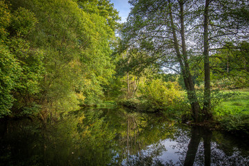 A photo of tree's overhanging a river in the beautiful surrey hills near Guildford in late summer/autumn time