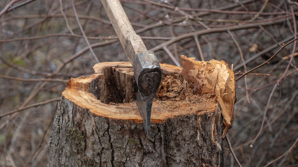 Axe on the stump,felling of firewood,old ax with wooden handle