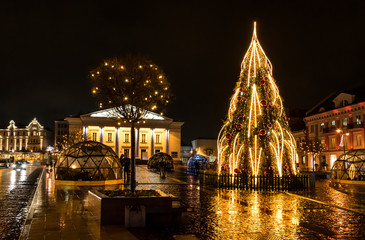 Fototapeta na wymiar Vilnius, Lithuania - Christmas tree decorated with golden lights and red big balls on the town hall square, golden reflection on the cobblestones, illuminated buildings and trees with light bulbs.