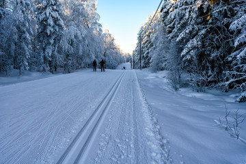 Skiing a wonderful winter day in Orsa, Sweden.