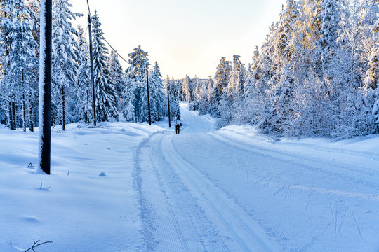 Skiing in a winter landscape in Orsa, Sweden