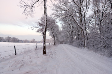 Feldweg im Schnee, Wintersaison