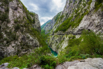  Tara river canyon, mountains and forests around in the Durmitor nature park, Montenegro