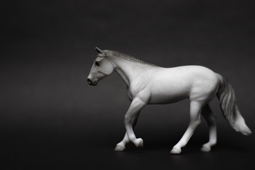 Obraz na płótnie Canvas model horse