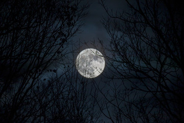 Fototapeta premium full moon on sky