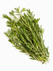 Fragrant fresh rosemary on a white background.