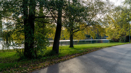 walking road in the park