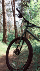 Fototapeta premium bike