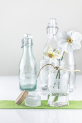 Echte Narzissen vor hellem Hintergrund in Glasflasche, minimalisitscher Style. Weiße Narzisse