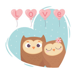 happy valentines day cute couple owls balloons heart love romance