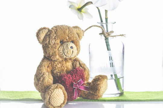 Echte Narzissen vor hellem Hintergrund in Glasflasche, minimalisitscher Style. Weiße Narzisse mit Teddybär.