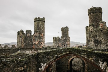 Conwy Castle