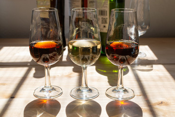 Sherry wine tasting, selection of different jerez fortified wines from dry to very sweet in glasses, Jerez de la Frontera, Andalusia, Spain