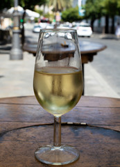 Sherry wine tasting, dry fino, manzanilla or palomino jerez fortified wine in glasses, Jerez de la Frontera, Andalusia, Spain