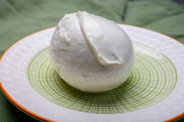 Cheese collection, soft white Italian mozzarella di bufala campana