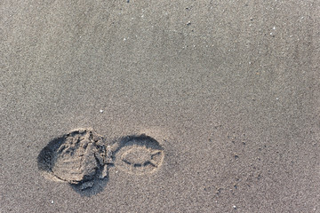 砂浜に残った足あと	