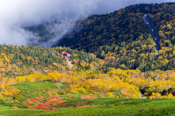 【長野県】北アルプス　紅葉の乗鞍岳