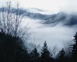 moutains  in fog