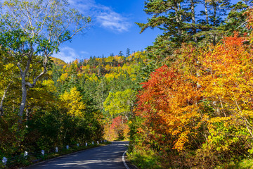 【長野県】北アルプス　紅葉の乗鞍岳　乗鞍エコーライン