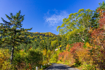 【長野県】北アルプス　紅葉の乗鞍岳　乗鞍エコーライン