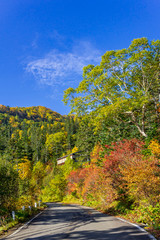 【長野県】北アルプス　紅葉の乗鞍岳　乗鞍エコーライン