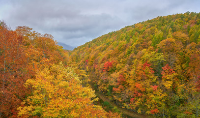 autumn mountain from Nakatsugawa Bridge view point in fukushima