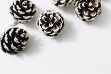 pine cones on a white background, New Year decorations