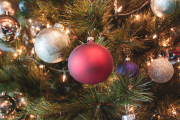 Ornaments on a christmas tree.