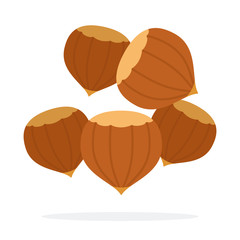 Hazelnuts vector flat isolated
