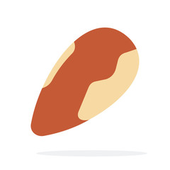 One Brazil nut
