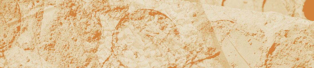 abstract pale brown and white colors background for design