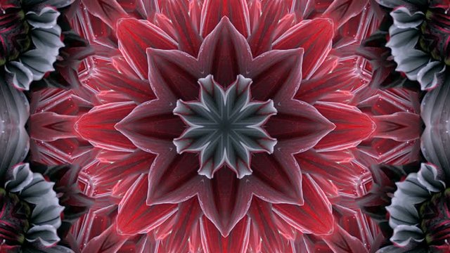 Kaleidoscope Mandala Art Design Abstract Background Loop