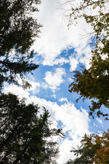 Obraz premium heart in the sky