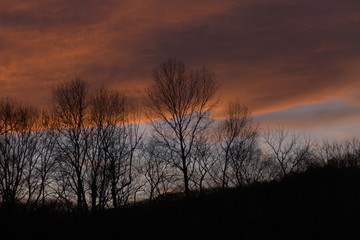 Obraz premium December twilight sky