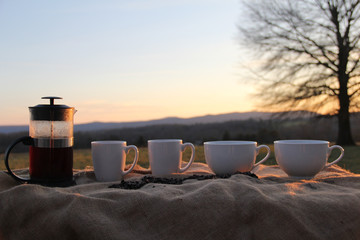 white mugs french press