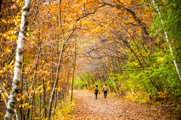 Couple walking away on path under arch of fall colors in autumn
