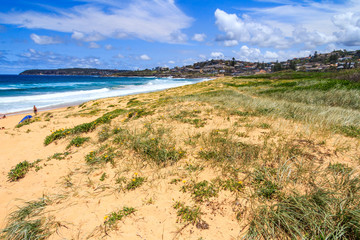 Sand dunes on the beach at Curl Curl
