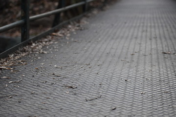 Obraz premium Winter Bridge