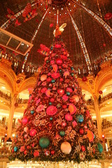 christmas tree in hall