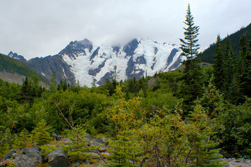 Fototapeta na wymiar This Alaskan Mountain Peak with icy glacier snow in the background as lush forest of green is in the foreground. 