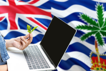 British Indian Ocean Territory modern agriculture concept. Farmers holding laptop, check tea on national flag background. Ecology theme with copy space.