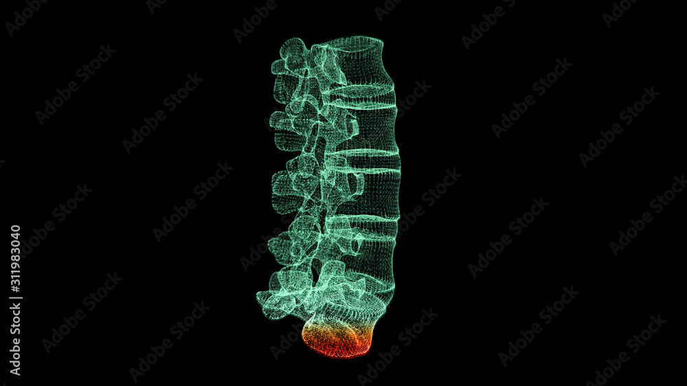 Poster Futuristic head up display motion element virtual biomedical holographic human body scan neurological examination, axial skeleton, vertebral column, DNA and heart diagnostic for background display