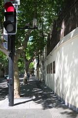 Shanghai,China-September 16, 2019: The former French concession with Platanus trees in Shanghai,...