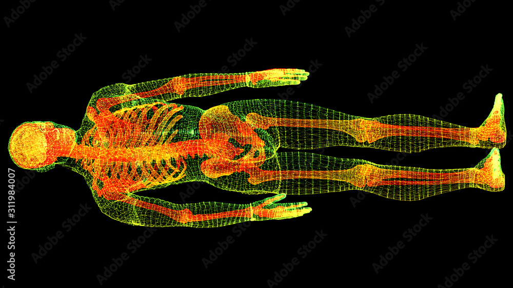 Poster futuristic head up display motion element virtual biomedical holographic human body scan neurologica