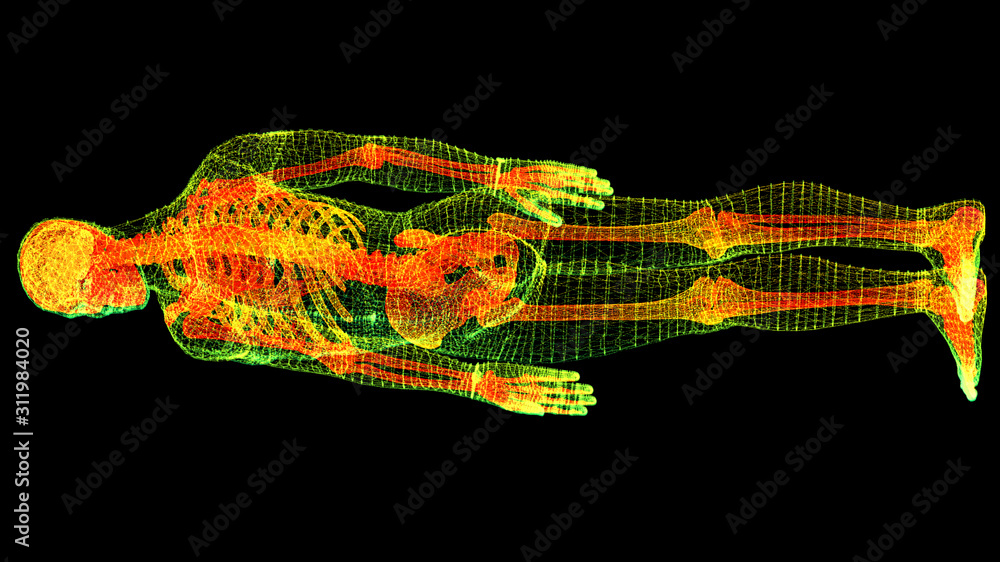 Aufkleber Futuristic head up display motion element virtual biomedical holographic human body scan neurological examination, axial skeleton, vertebral column, DNA and heart diagnostic for background display